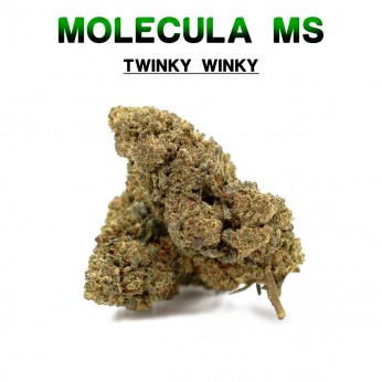 Flores 50% MS Tinky Winky 5g.