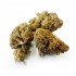 Cogollos CBD Hawai de la marca FP.