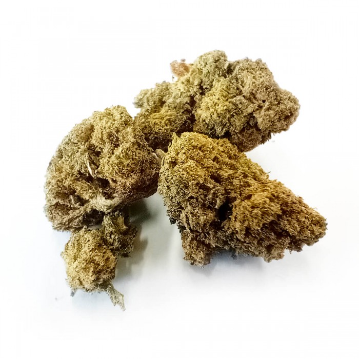 Cogollos CBD Hawai de la marca FP.