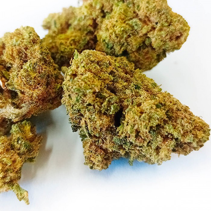 Cogollos CBD Hawai de la marca FP, resina.