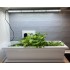 Barra LED Tled Kitchengrow de 26w 6600k con imanes y temporizador, cultivo.