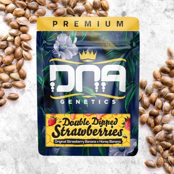Double Dipped Strawberries de DNA Genetics - Blister.