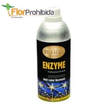 ENZYMEN