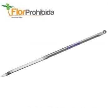 DABBER BIG BUDDAH