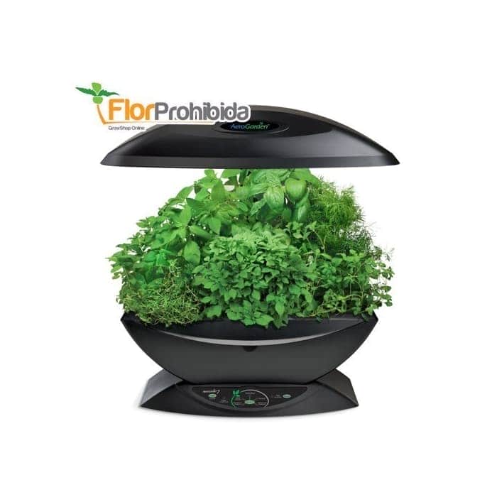 AEROGARDEN