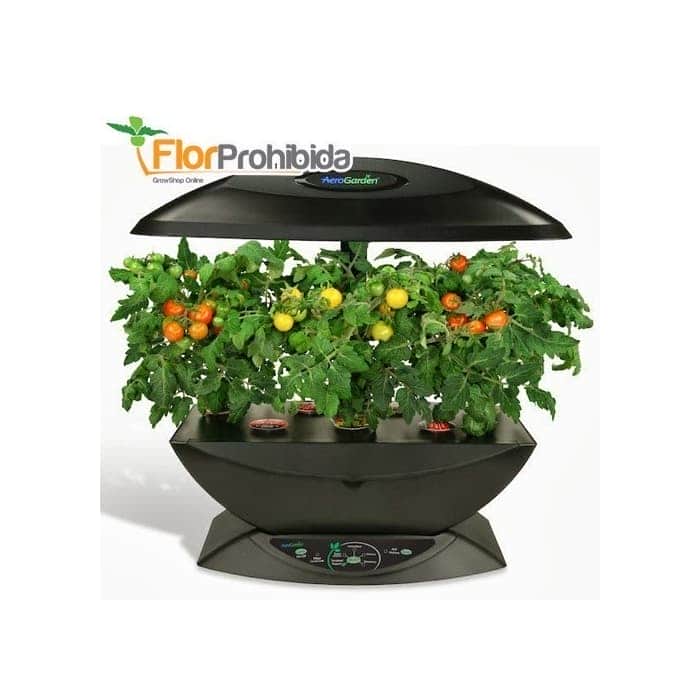 AEROGARDEN