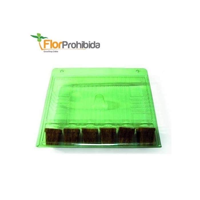 FUNDA TRANSPORTE 6 ESQUEJES