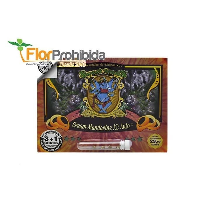 AUTO CREAM MANDARINE XL (Sweet Seeds) Paquete 3+1