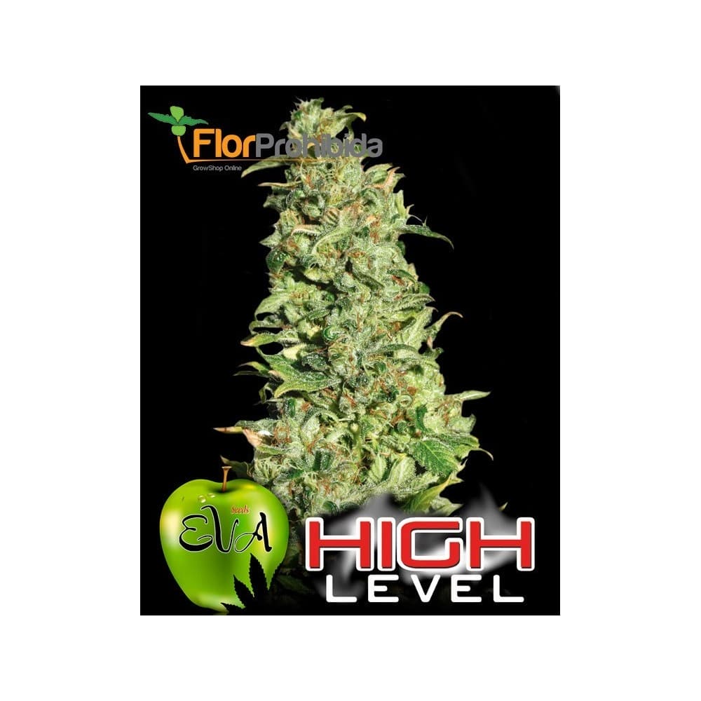 Semillas de marihuana HIGH LEVEL (Eva Seeds) Paquete 3u.