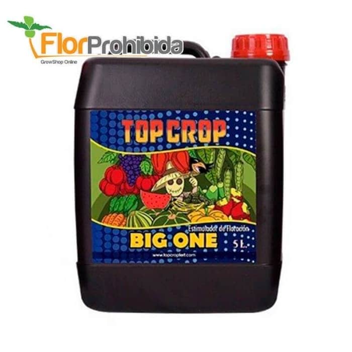 Big One - Estimulador de floración orgánico para marihuana. Envase de 5 litros.