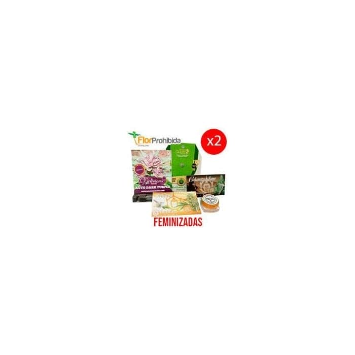 REGALO: 2X SEMILLA FEMINIZADA VARIADA