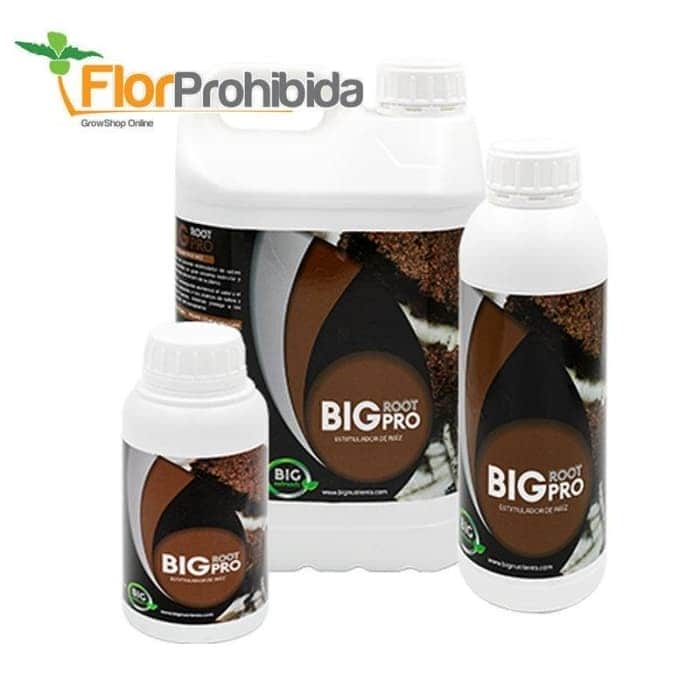 Big Root Pro de Big Nutrients - Estimulador y potenciador de raíces ecológico.