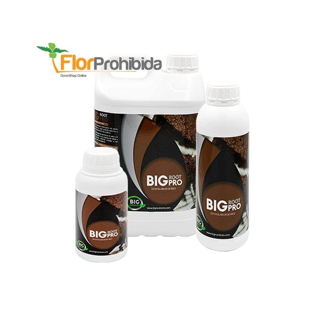 Big Root Pro de Big Nutrients - Estimulador y potenciador de raíces ecológico.