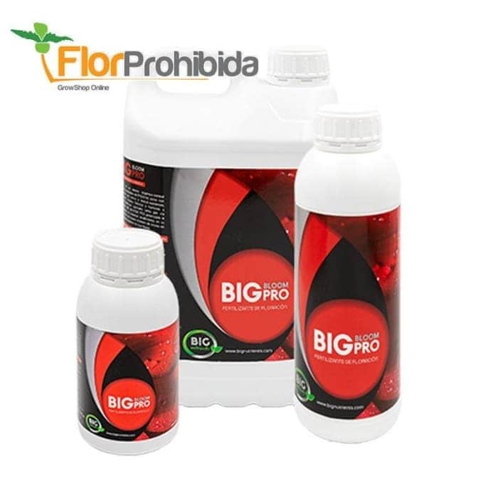 Abono de floración Big Bloom Pro (Big Nutrients).