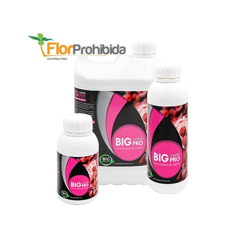 Big Sabor Pro de Big Nutrients - Estimulador y potenciador de floración para marihuana. 