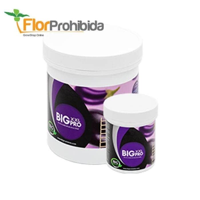 Big XXL Pro de Big Nutrients - Estimulador y potenciador de floración para marihuana.