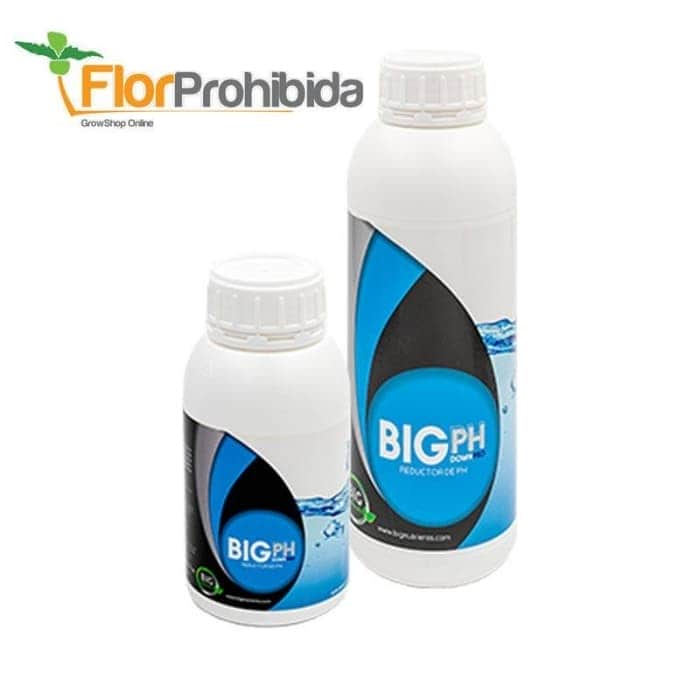 Big PH Down Pro - Reductor de pH para marihuana.