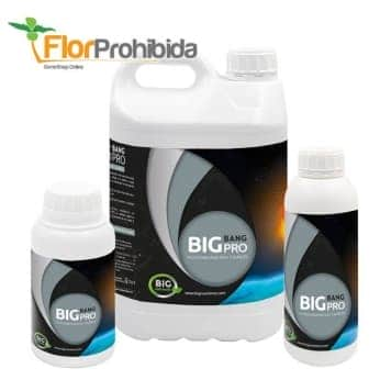 BIG BANG PRO (Big Nutrients)