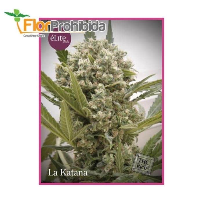 La Katana de Élite Seeds - Semillas feminizadas de marihuana.