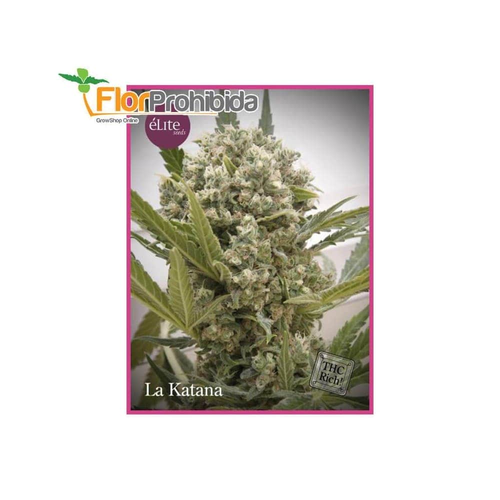 La Katana de Élite Seeds - Semillas feminizadas de marihuana.