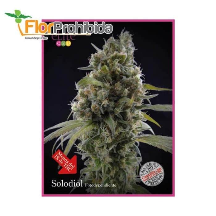 Solodiol de Élite Seeds - Semillas feminizadas de marihuana.