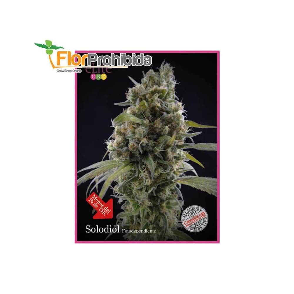 Solodiol de Élite Seeds - Semillas feminizadas de marihuana.