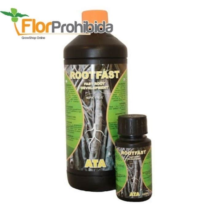ROOTFAST ATAMI