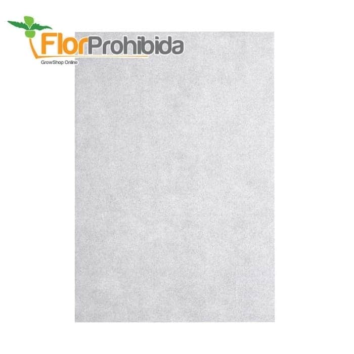PAPEL PRENSA ROSIN