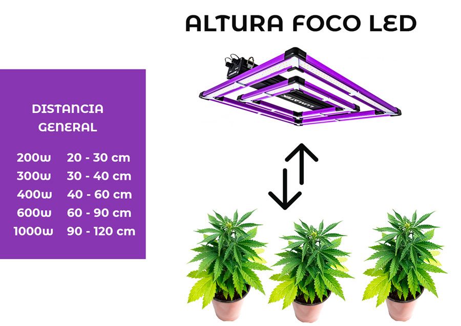 ALTURA FOCOS LED A LAS PLANTAS