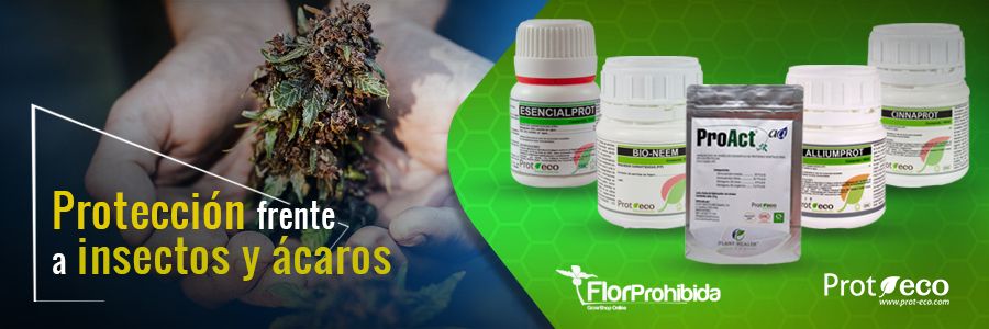 Protectores e insecticidas para insectos y ácaros en el cultivo