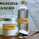 Fungicida casero con vinagre y bicarbonato