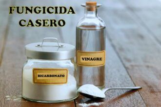 Fungicida casero con vinagre y bicarbonato