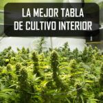 Las mejores tablas de cultivo interior para marihuana