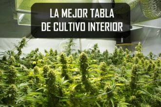 Las mejores tablas de cultivo interior para marihuana