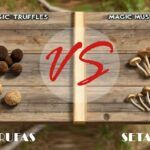 Diferencias entre setas mágicas y trufas mágicas