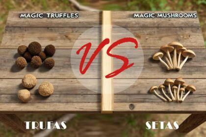 Diferencias entre setas mágicas y trufas mágicas