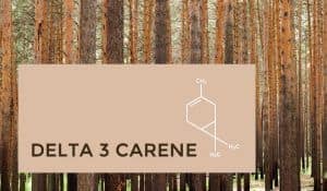 Terpene-Delta3-Carene-420