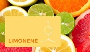 Terpene-Limonene-420