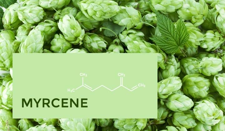 Terpeno Myrcene
