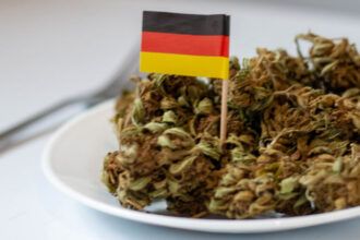 Alemania legaliza el consumo y cultivo de marihuana recreativa