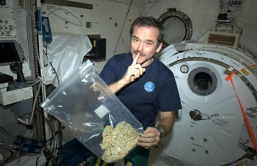 Astronauta marihuana.