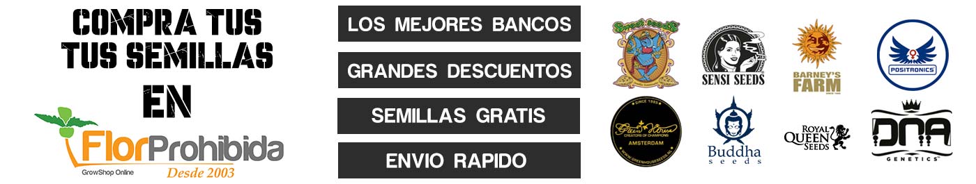 Compra semillas de cannabis en FlorProhibida con las mejores condiciones