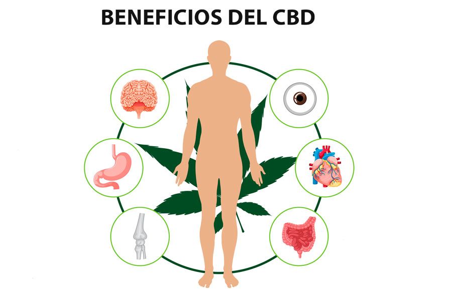 Beneficios del cannabidiol