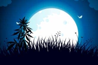 CAlendario lunar cannábico 2023 para plantar plantas de marihuana y cualquier tipo de plantas