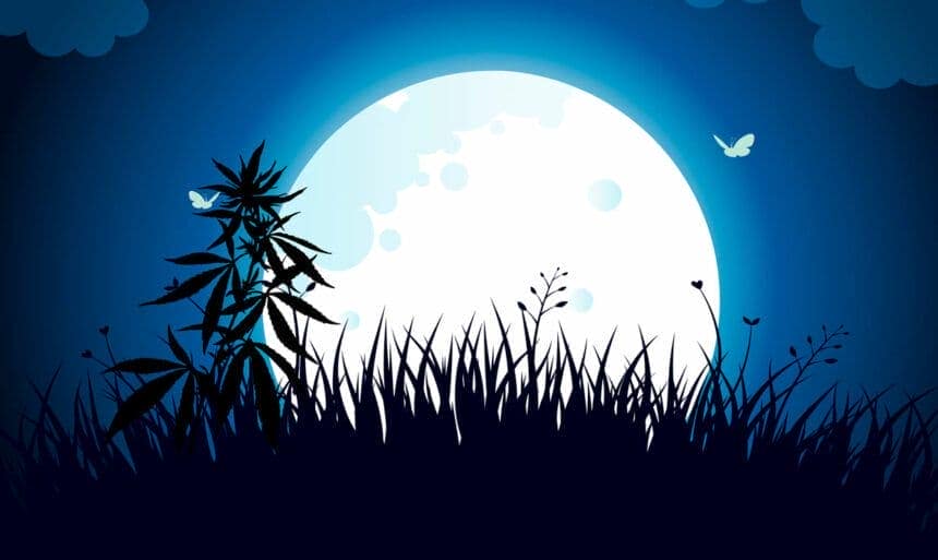 CAlendario lunar cannábico 2023 para plantar plantas de marihuana y cualquier tipo de plantas