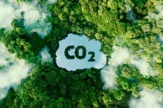 Cannabis ayuda a disminuir los niveles de CO2 en la atmósfera