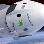 Cannabis espacial.
