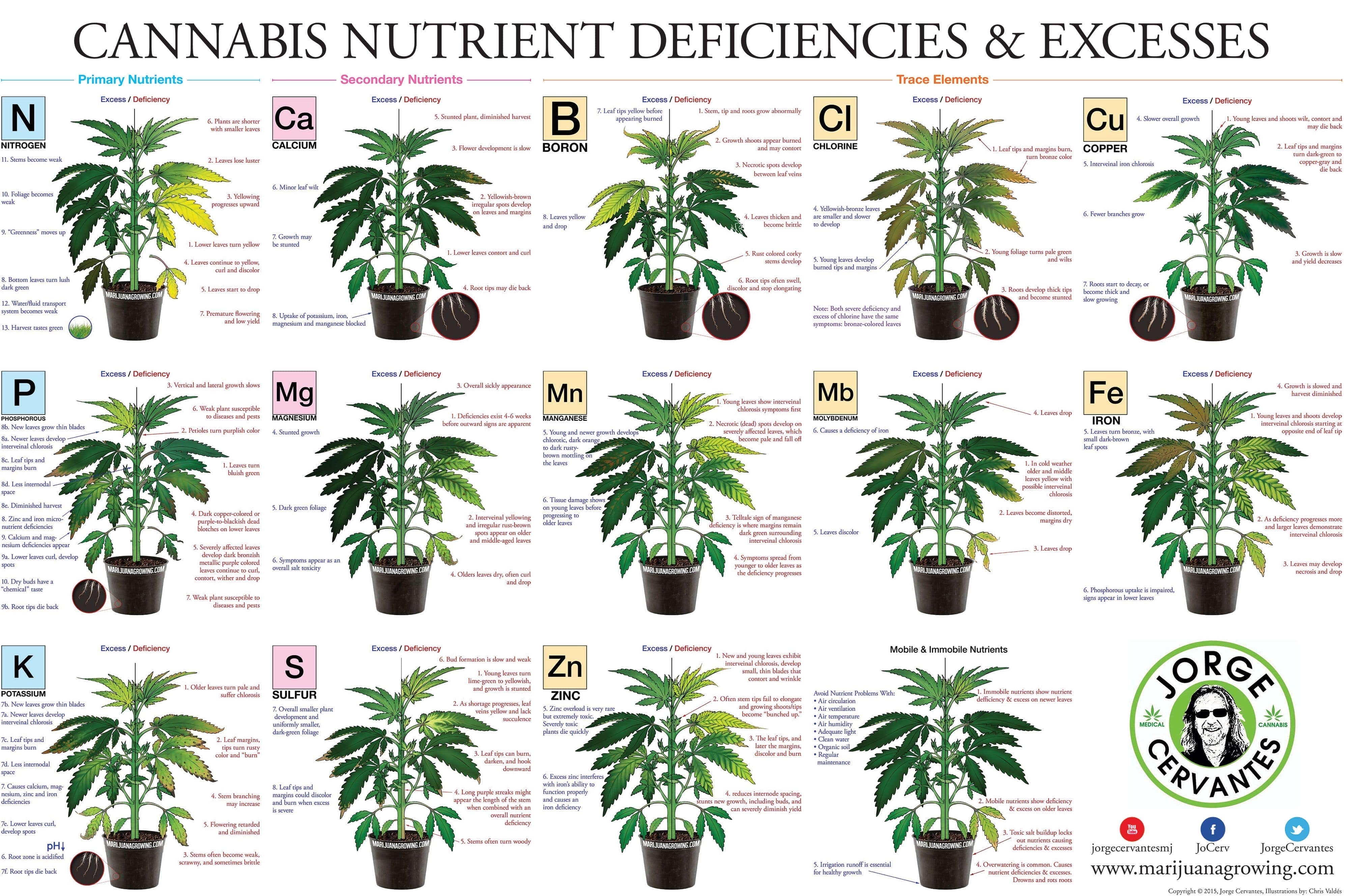 Tabla de todos los excesos y deficiencias en cannabis