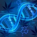 Código genético de la marihuana