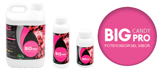 Big Candy PRO - Estimulador de olor y sabor